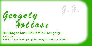 gergely hollosi business card